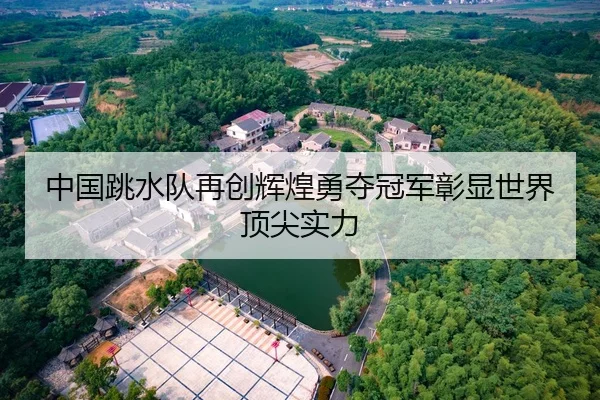 中国跳水队再创辉煌勇夺冠军彰显世界顶尖实力