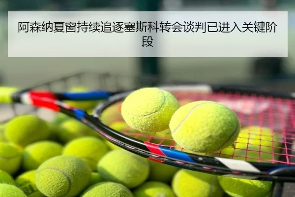 阿森纳夏窗持续追逐塞斯科转会谈判已进入关键阶段