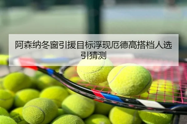阿森纳冬窗引援目标浮现厄德高搭档人选引猜测